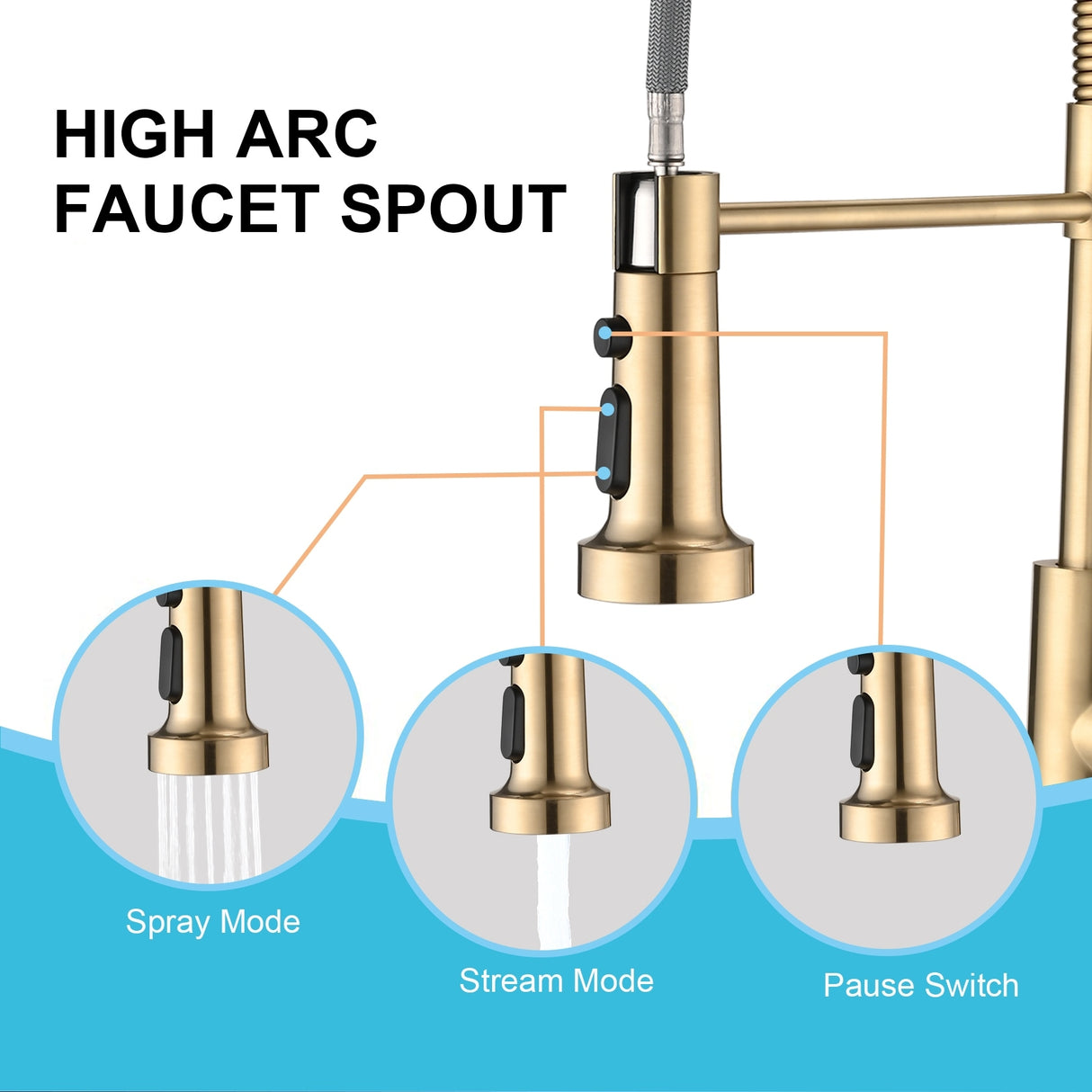DORNBERG Gold Pull Down Sprayer Spring Kitchen Sink Faucet