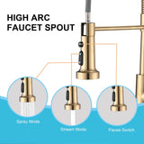 DORNBERG Gold Pull Down Sprayer Spring Kitchen Sink Faucet