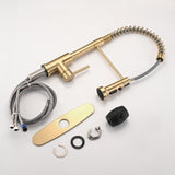 DORNBERG Gold Pull Down Sprayer Spring Kitchen Sink Faucet