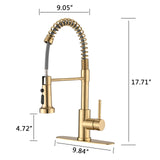 DORNBERG Gold Pull Down Sprayer Spring Kitchen Sink Faucet