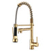DORNBERG Gold Pull down Spray Swivel Kitchen Faucet and Pot Filler