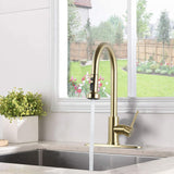 DORNBERG Stainless Steel Pull Down Kitchen Faucet with Sprayer