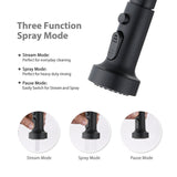 DORNBERG Stainless Steel Pull Down Kitchen Faucet with Sprayer