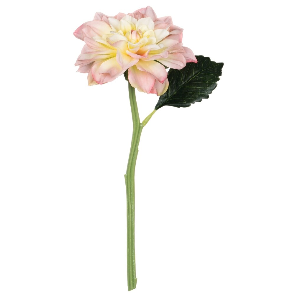 Sullivans Dahlia Stem