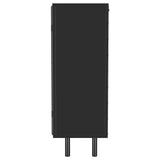 Dalia 2-door Accent Storage Cabinet with Shelving Black