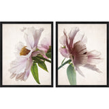 Debra Van Swearingen 'Translucent Peony' Framed Art (Set of 2)