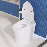 DeerValley Smart Elongated Toilet With Foot Kick Sensor Flush, Night Light, Warm Wash and Dryer, Standard - N/A
