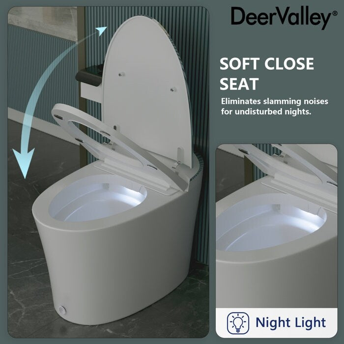 DeerValley Smart Elongated Toilet With Foot Kick Sensor Flush, Night Light, Warm Wash and Dryer, Standard - N/A