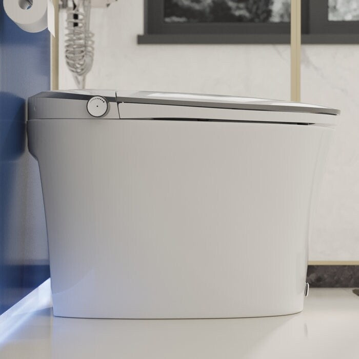 DeerValley Smart Elongated Toilet With Foot Kick Sensor Flush, Night Light, Warm Wash and Dryer, Standard - N/A