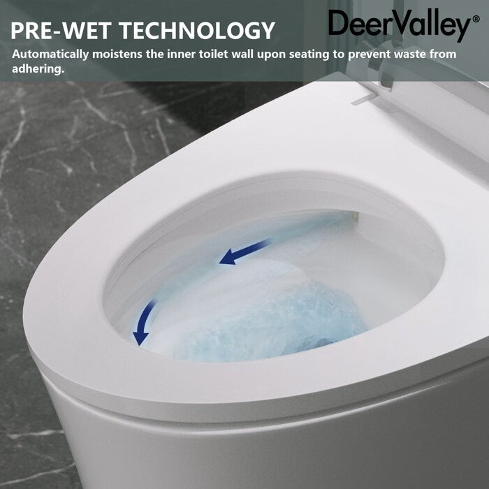 DeerValley Smart Elongated Toilet With Foot Kick Sensor Flush, Night Light, Warm Wash and Dryer, Standard - N/A