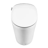 DeerValley Smart Elongated Toilet With Foot Kick Sensor Flush, Night Light, Warm Wash and Dryer, Standard - N/A