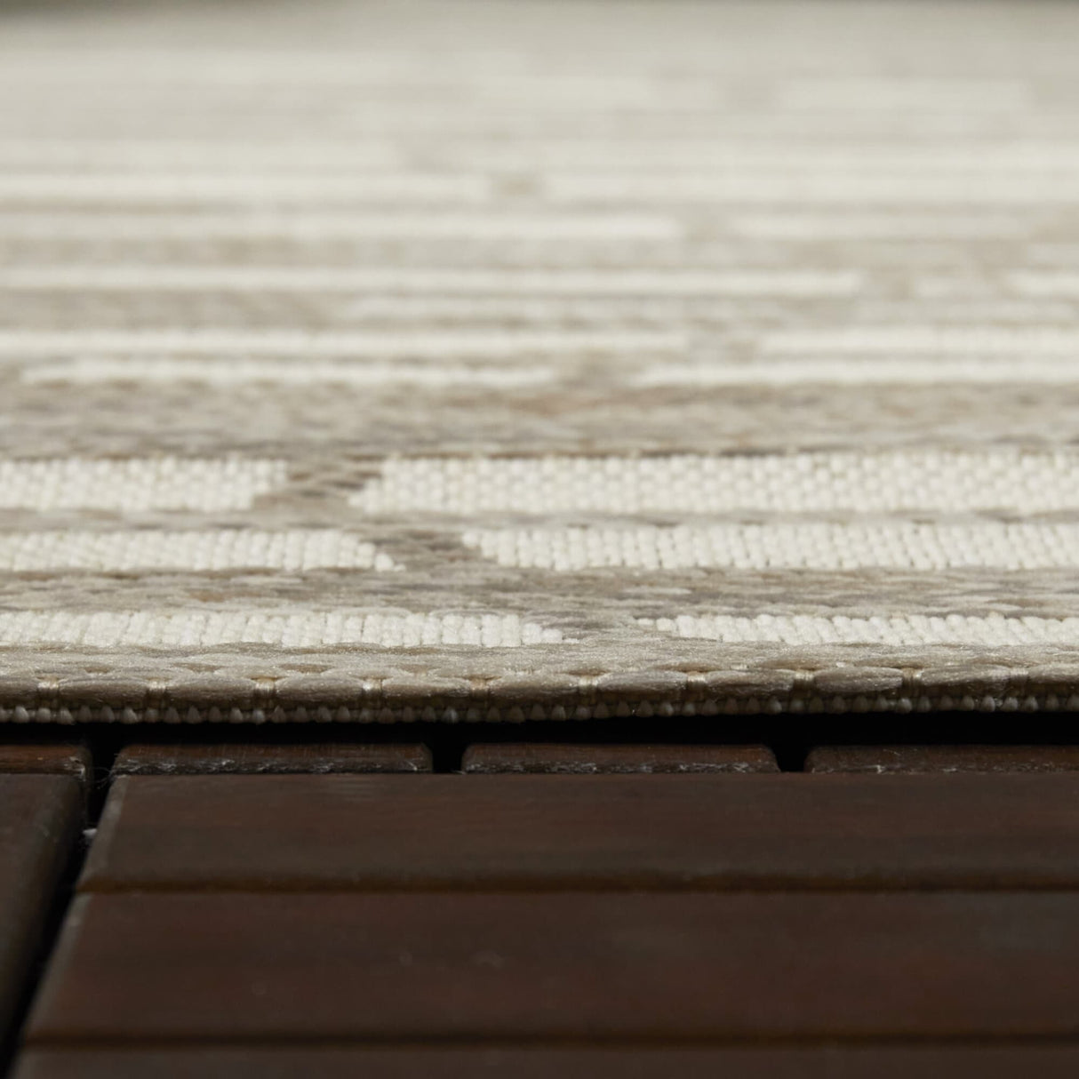 Degas Striped Trellis Indoor/Outdoor Area Rug