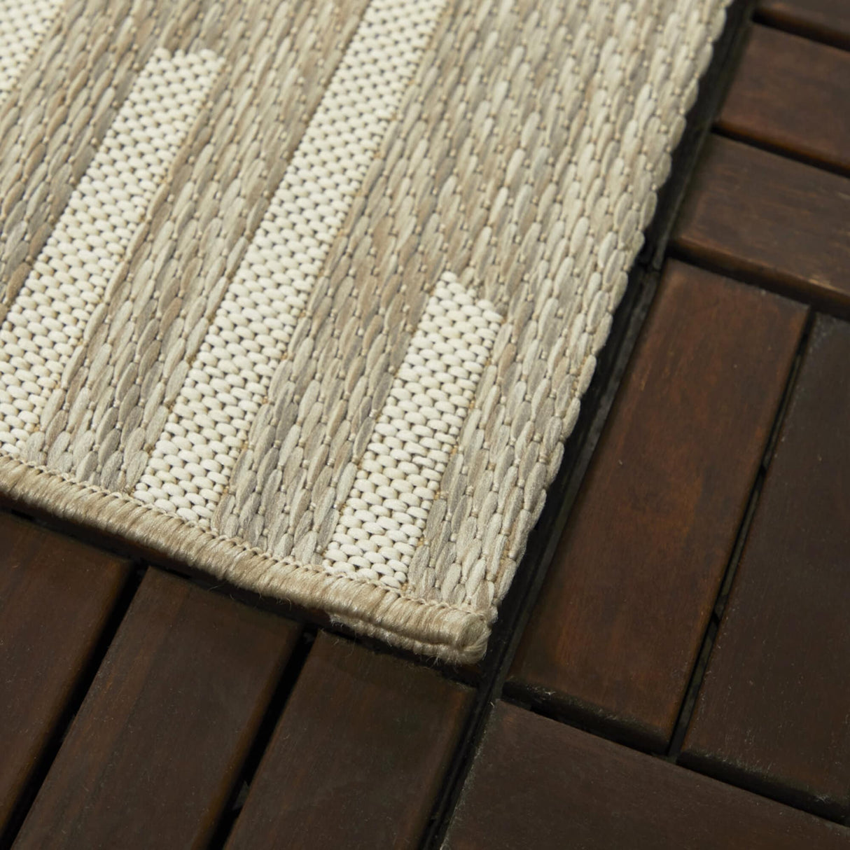 Degas Striped Trellis Indoor/Outdoor Area Rug