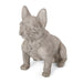 Delamore Outdoor French Bulldog Garden Statue by Christopher Knight Home