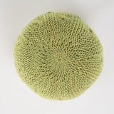 Deon Indoor Handcrafted Modern Fabric Weave Pouf by Christopher Knight Home