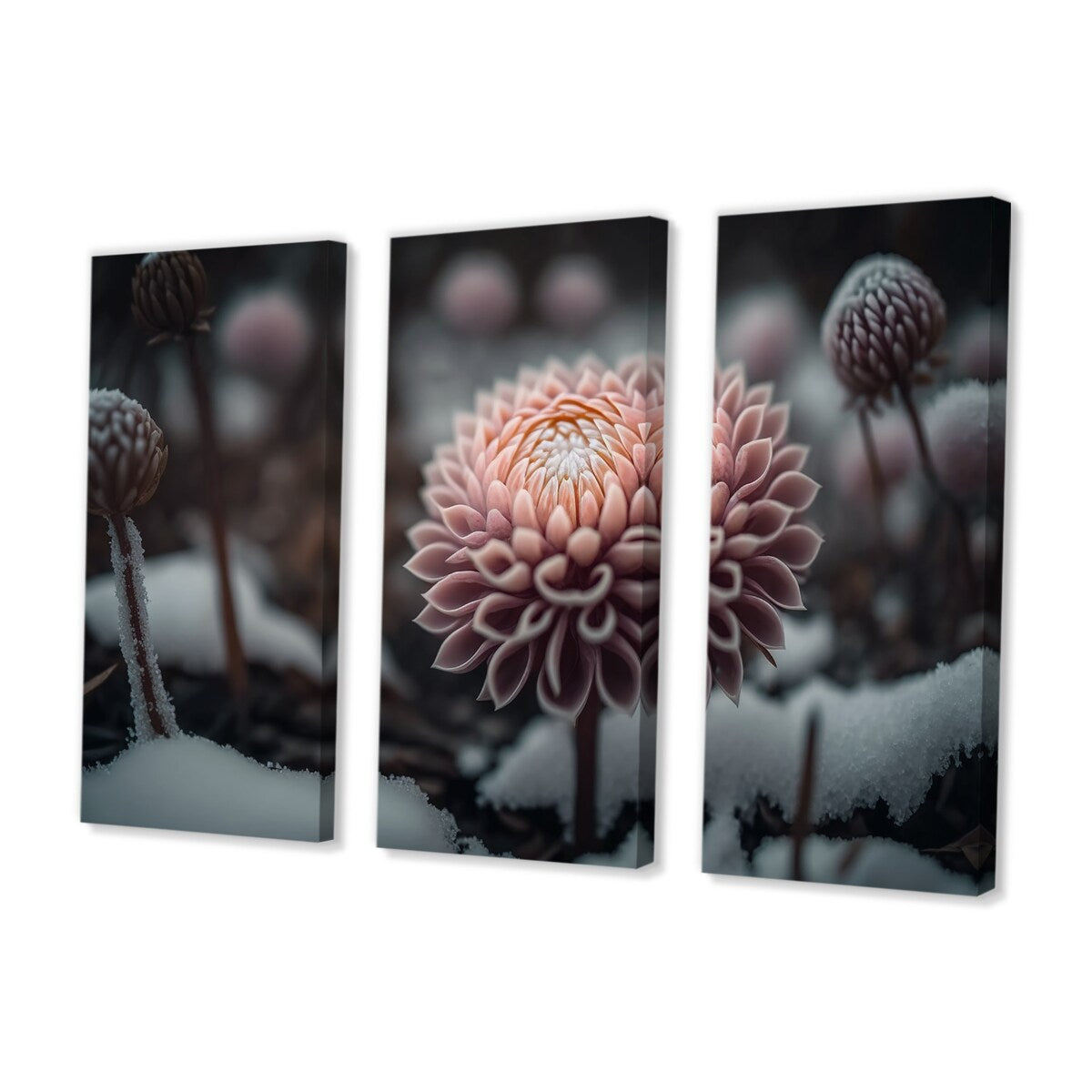 Designart "A Blooming Pink Dahlia Flower In Winter II" Floral Dahlia Canvas Art Print - 3 Panels