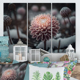 Designart "A Blooming Pink Dahlia Flower In Winter II" Floral Dahlia Canvas Art Print - 3 Panels