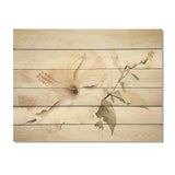 Designart "Beige Minimalism Hibiscus Wonder I" Hibiscus Wood Wall Decor - Traditional Wood Panel On Natural Pine Wood