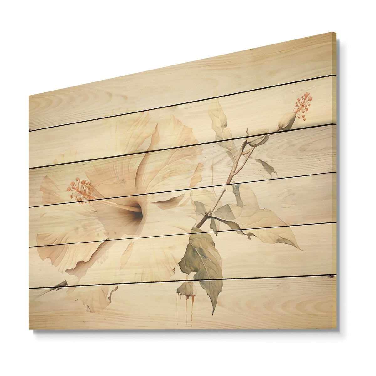Designart "Beige Minimalism Hibiscus Wonder I" Hibiscus Wood Wall Decor - Traditional Wood Panel On Natural Pine Wood