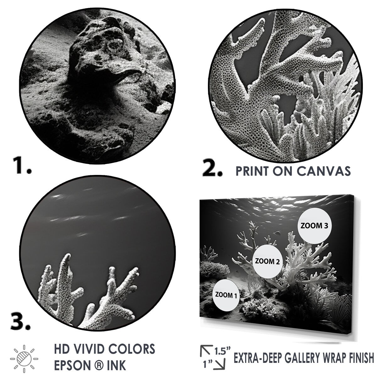 Designart "Black And White Coral Anemone Kingdom V" Coastal Coral Under Water Wall Art