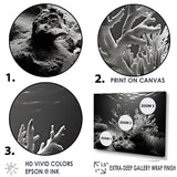 Designart "Black And White Coral Anemone Kingdom V" Coastal Coral Under Water Wall Art