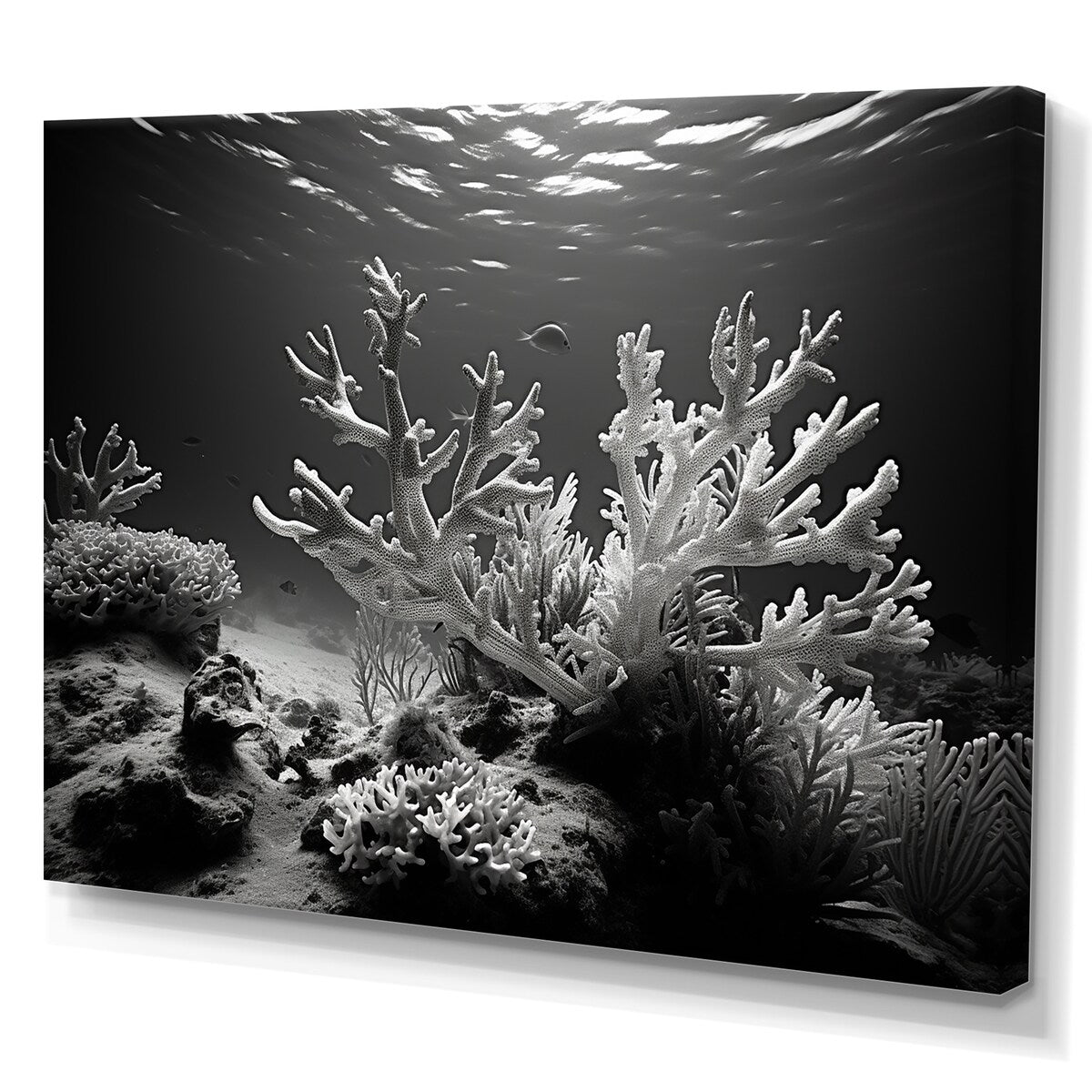 Designart "Black And White Coral Anemone Kingdom V" Coastal Coral Under Water Wall Art