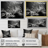 Designart "Black And White Coral Anemone Kingdom V" Coastal Coral Under Water Wall Art