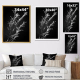Designart "Black And White Coral Plant " Coastal Coral Under Water Wall Art