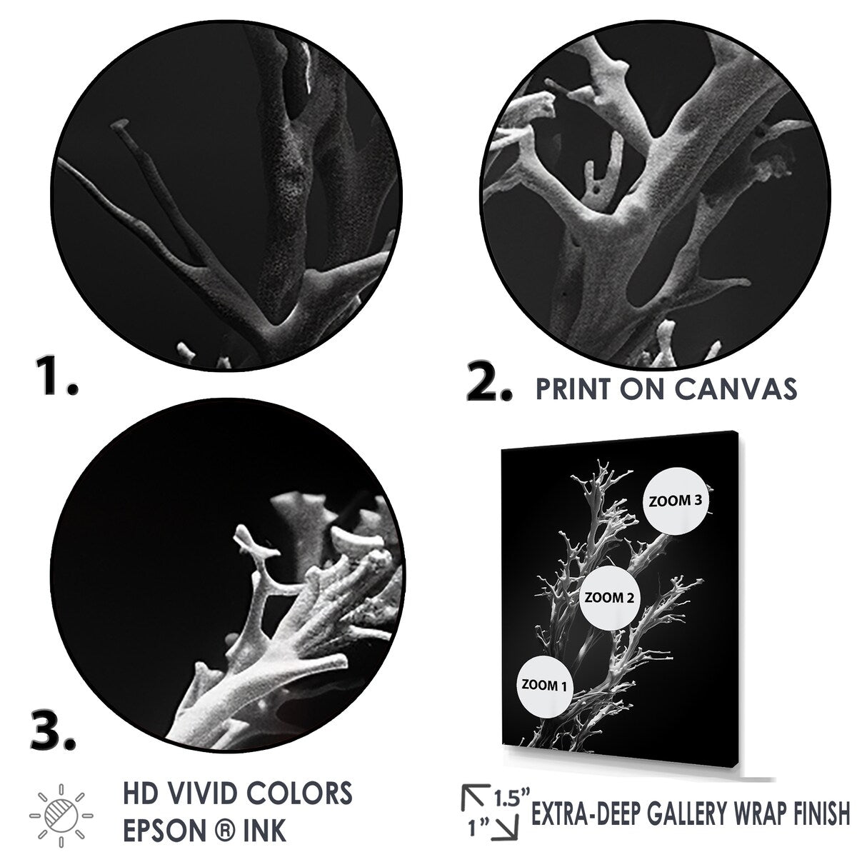 Designart "Black And White Coral Plant " Coastal Coral Under Water Wall Art