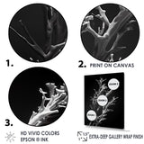 Designart "Black And White Coral Plant " Coastal Coral Under Water Wall Art