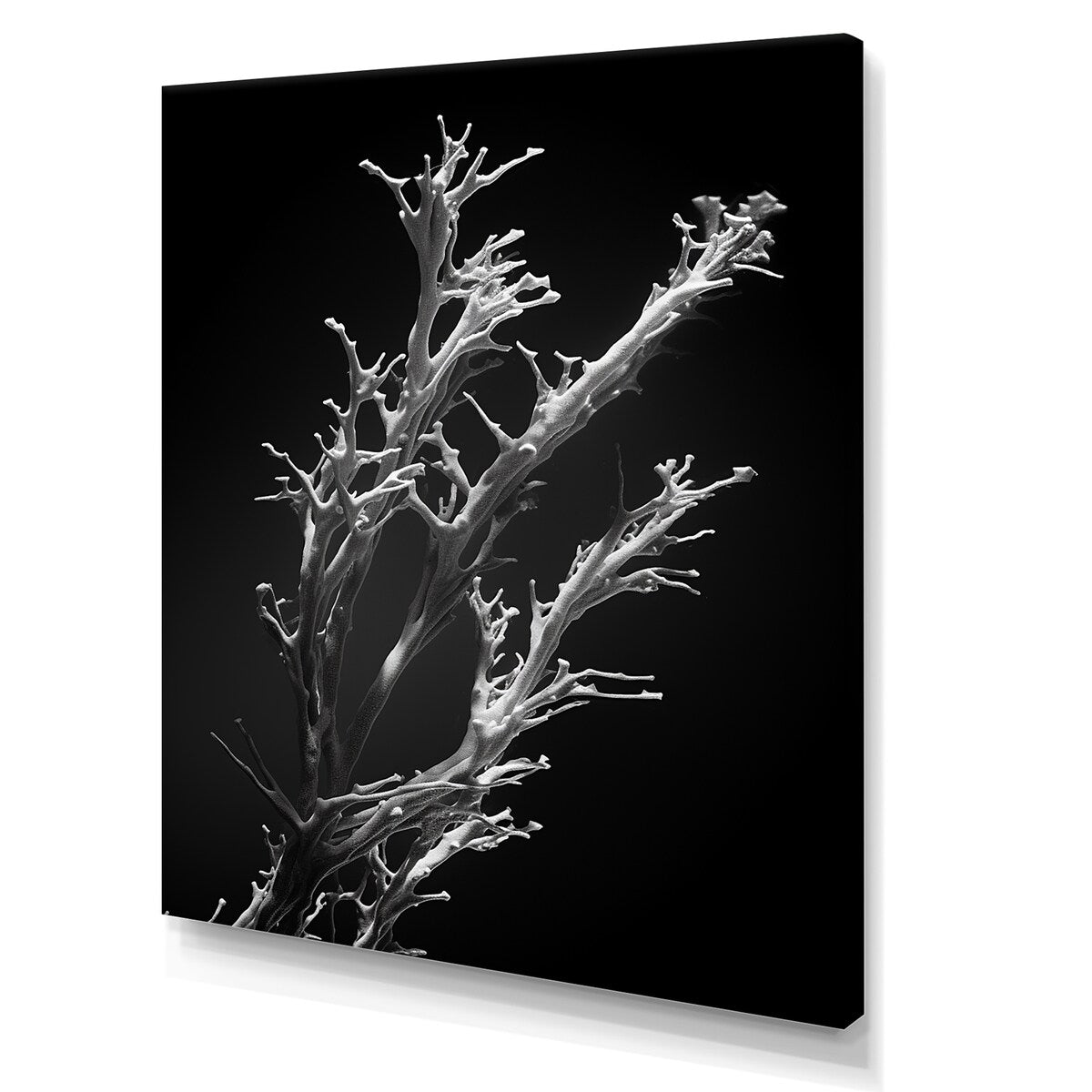 Designart "Black And White Coral Plant " Coastal Coral Under Water Wall Art