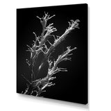 Designart "Black And White Coral Plant " Coastal Coral Under Water Wall Art
