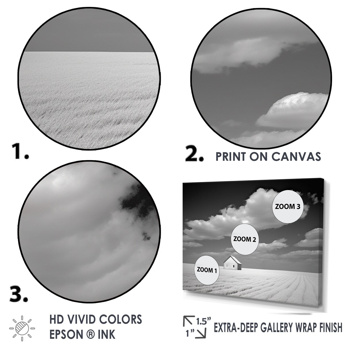 Designart "Black And White Solitude Road I" Meadow Wall Art