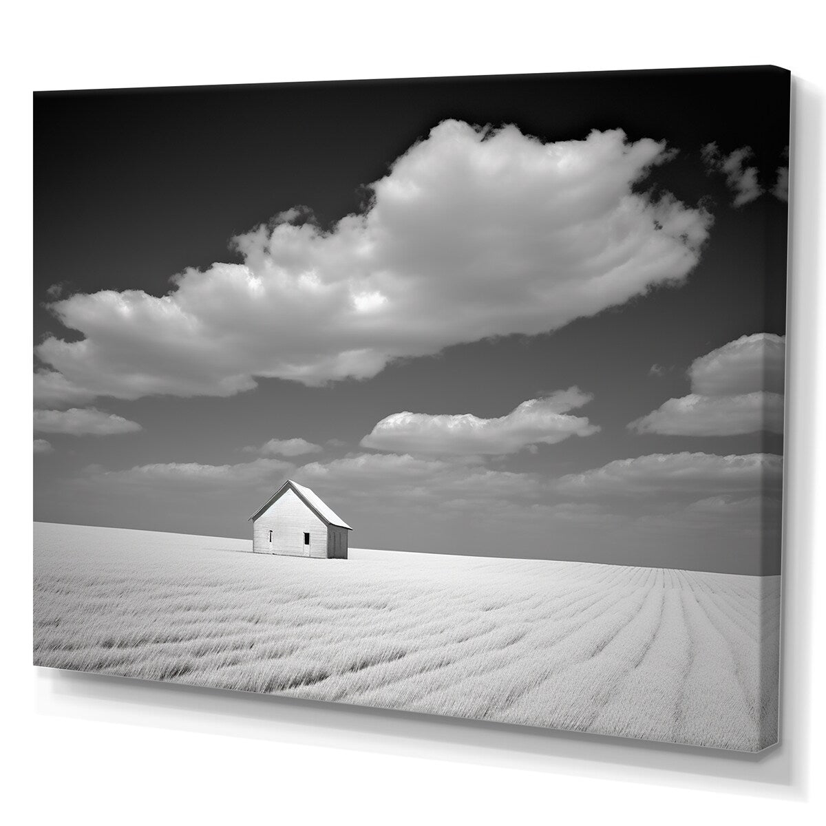 Designart "Black And White Solitude Road I" Meadow Wall Art