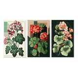 Designart "Blossoming Geranium In Retro Colors I" Floral Wall Art Set Of 3 Traditional Canvas Set For Living Room Decor
