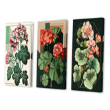 Designart "Blossoming Geranium In Retro Colors I" Floral Wall Art Set Of 3 Traditional Canvas Set For Living Room Decor