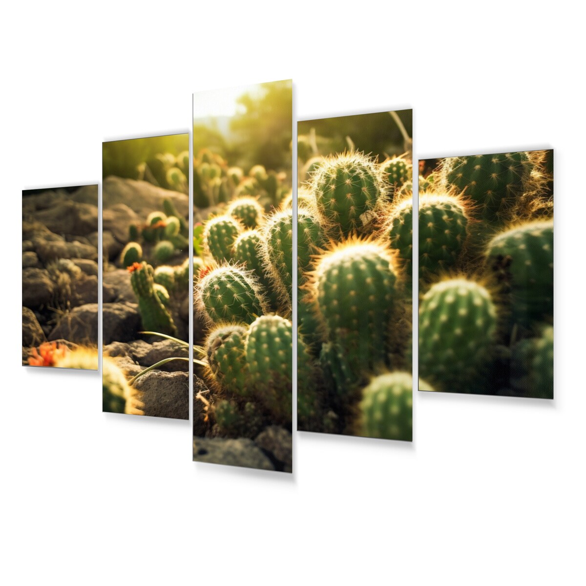 Designart "Cactus Perfection Sunrise III" Floral Wall Art Prints Set