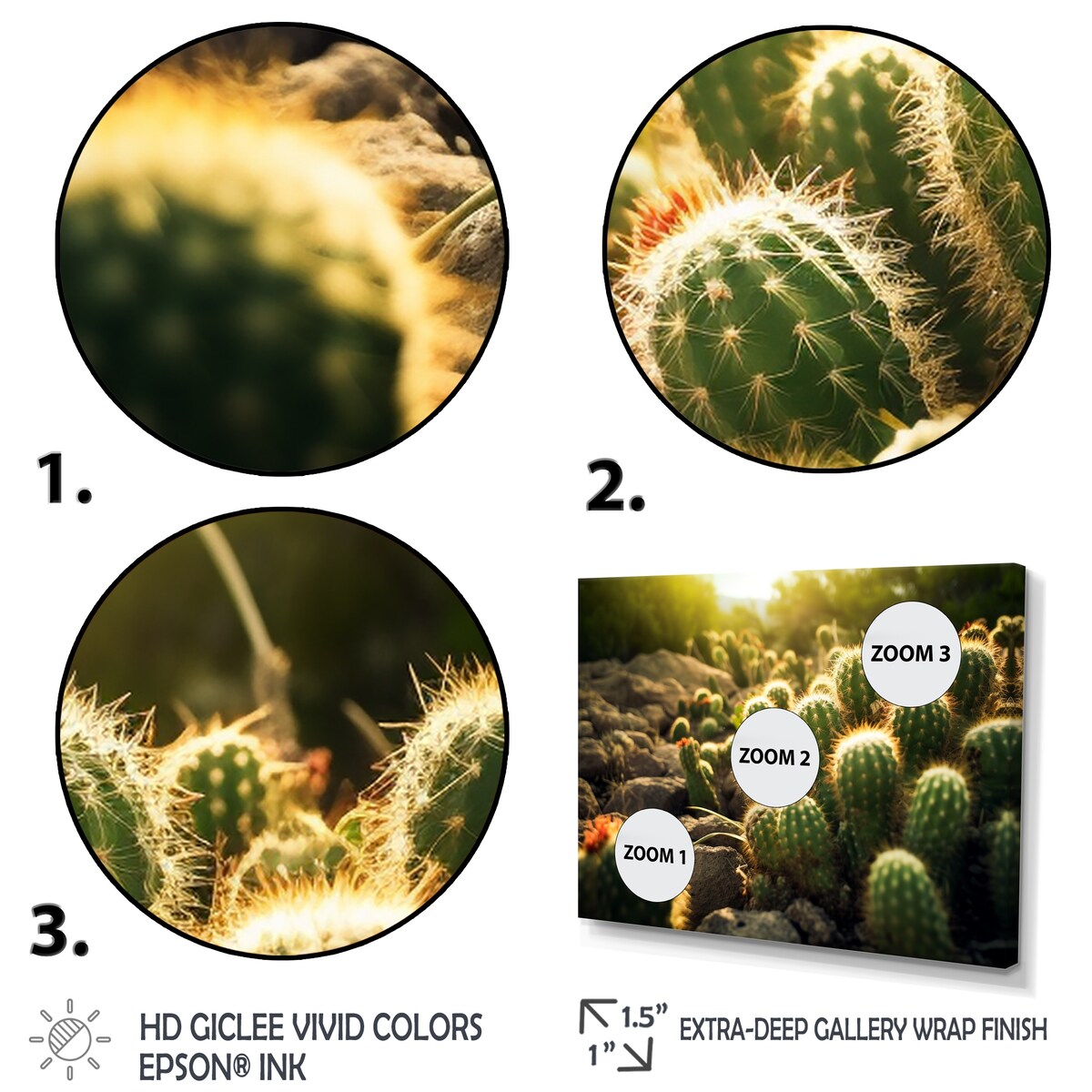 Designart "Cactus Perfection Sunrise III" Floral Wall Art Prints Set