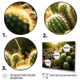 Designart "Cactus Perfection Sunrise III" Floral Wall Art Prints Set