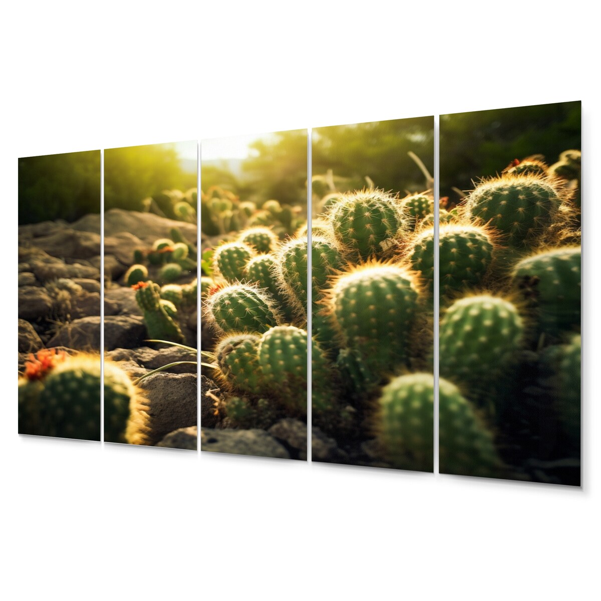 Designart "Cactus Perfection Sunrise III" Floral Wall Art Prints Set