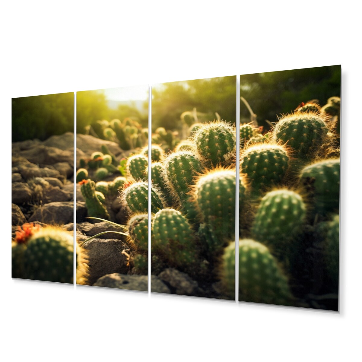 Designart "Cactus Perfection Sunrise III" Floral Wall Art Prints Set