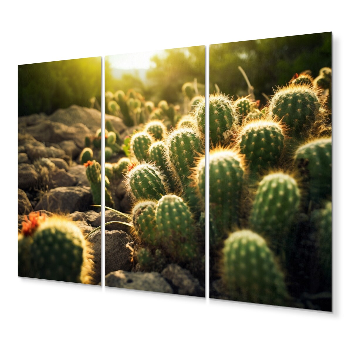 Designart "Cactus Perfection Sunrise III" Floral Wall Art Prints Set