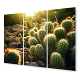 Designart "Cactus Perfection Sunrise III" Floral Wall Art Prints Set