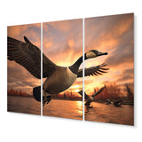 Designart "Canada Canadian Geese I" Animals Wall Art Prints Set