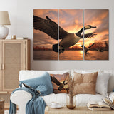 Designart "Canada Canadian Geese I" Animals Wall Art Prints Set