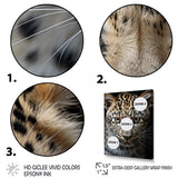 Designart "Cheetah Portrait Silent Stalk IV" Leopard/Cheetah Framed Wall Art Prints