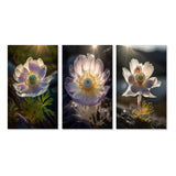 Designart "Delicate Blooming Anemone In Morning Sunshine II" Flowers White - Printed Art Set Of 3 For Bedroom