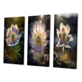 Designart "Delicate Blooming Anemone In Morning Sunshine II" Flowers White - Printed Art Set Of 3 For Bedroom