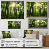 Designart "Dynamic Light Bamboo Grove II" Bamboo Wall Art