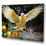 Designart "Graceful Dove I" Dovewall Art